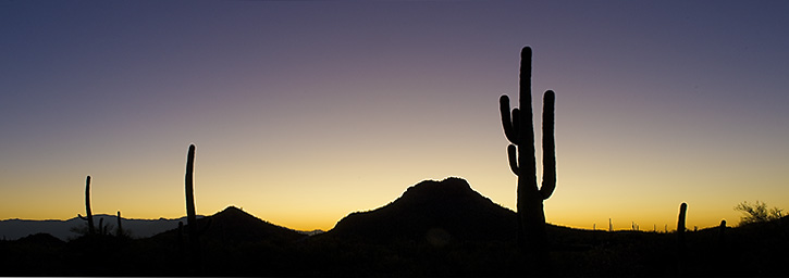 Almost Sunrise at Saguaro National Park, AZ